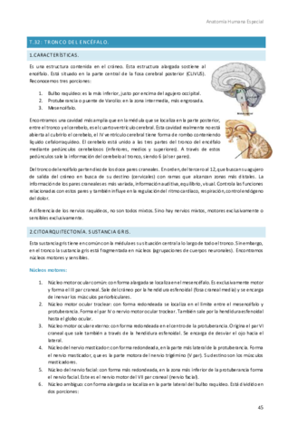 Anatomia-Humana-Especial-7.pdf
