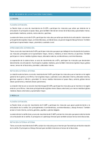 Anatomia-Humana-Especial-5.pdf