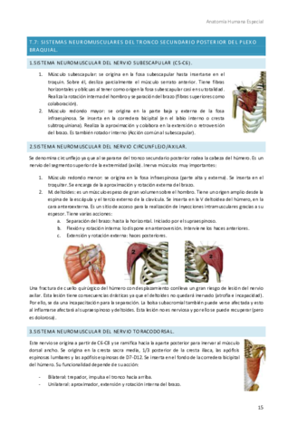 Anatomia-Humana-Especial-2.pdf