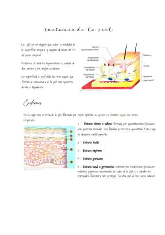 Tema-2-La-piel.pdf