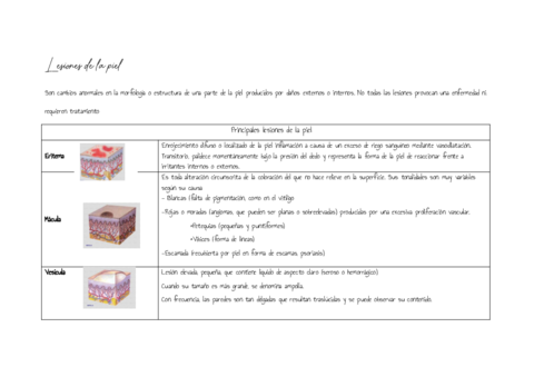 Lesiones-de-la-piel.pdf