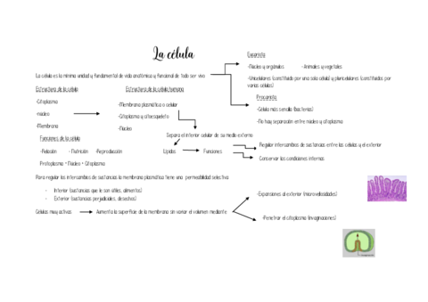 Tema-1-La-celula.pdf