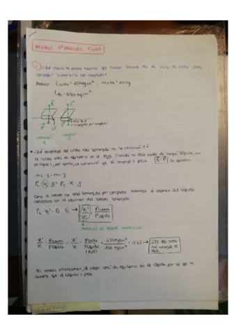 PROBLEMAS FÍSICA + FÓRMULAS.pdf