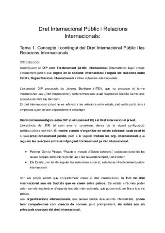 Dret-Internacional-Public-i-Relacions-Internacionals.pdf