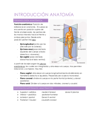 Intro-anatomia.pdf