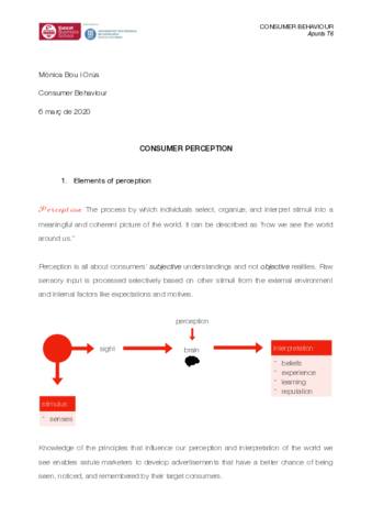 T6-Consumer-Behaviour.pdf