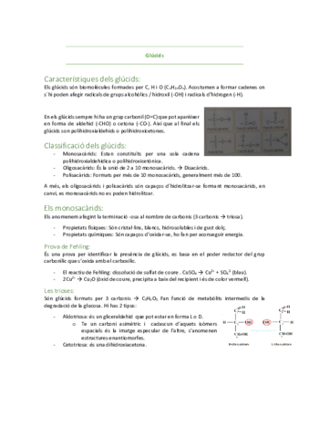 Glucids.pdf