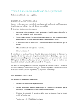 TEMA 14 2º parcial..pdf