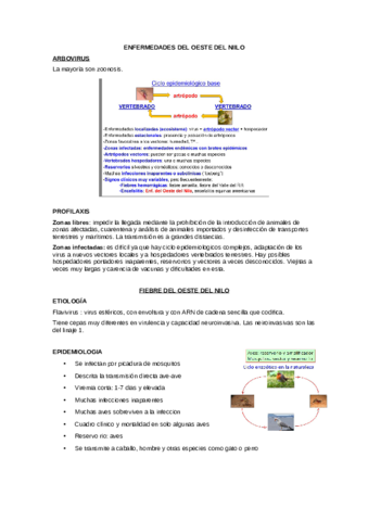 Seminario-3-Enfermedad-del-Oeste-del-Nilo.pdf
