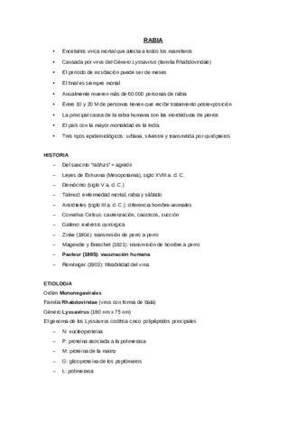Seminario-4-Rabia.pdf