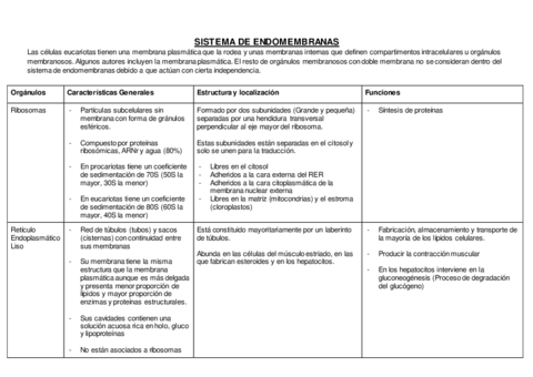 TABLA-SISTEMA-DE-ENDOMEMBRANAS.pdf