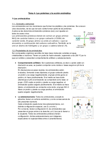 TEMA-4-Las-proteinas-y-la-accion-enzimatica.pdf