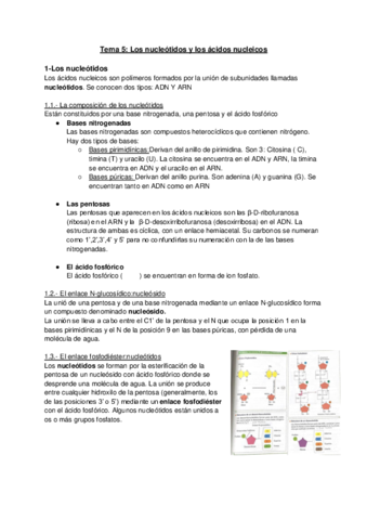 TEMA-5-Los-nucleotidos-y-los-acidos-nucleicos.pdf