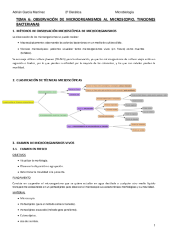 TEMA-6-CLASIFICACION-DE-TECNICAS-MICROSCOPICAS.pdf