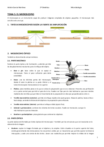 TEMA-5-EL-MICROSCOPIO-TEORIA.pdf