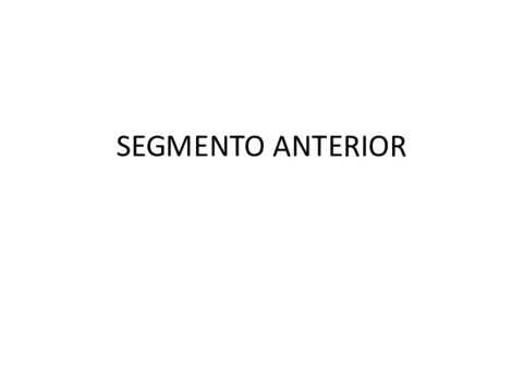 Segmento-anterior-CON-RESPUESTAS-1-1.pdf