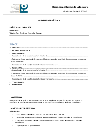 P06-20-21-Informe-de-practicas.pdf