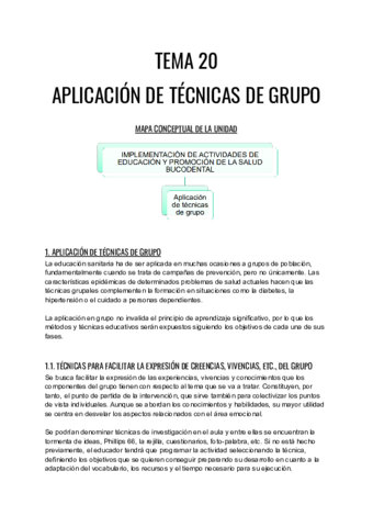 TEMA-20.pdf