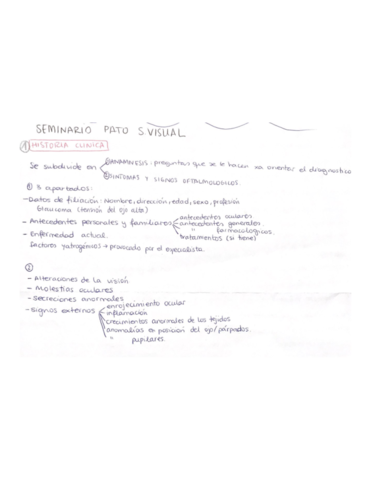 SEMINARIO-PATO-VISUAL.pdf