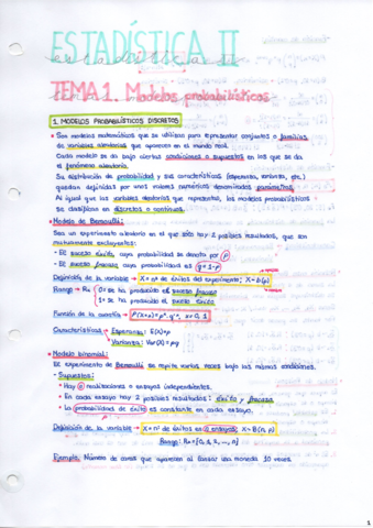 TEMA-1.pdf