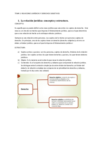 resumen-teoria-de-la-norma-t5.pdf