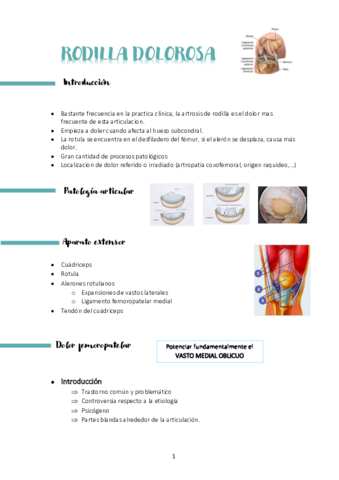 tema-4-y-tema-5-gonalgia-y-deformidades-pie.pdf