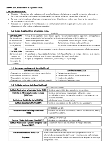 TEMA-6.pdf