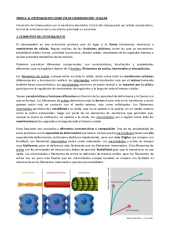 TEMA-6-CIC.pdf
