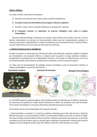 TEMA-9-cic.pdf