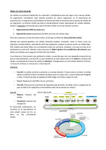 TEMA-10-cic.pdf