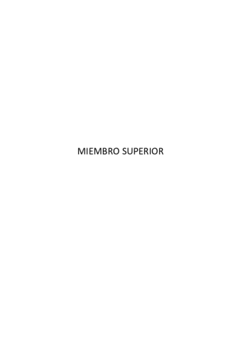 TEMA-5-Membro-superior.pdf