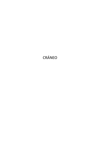 TEMA-4-CRANEO.pdf