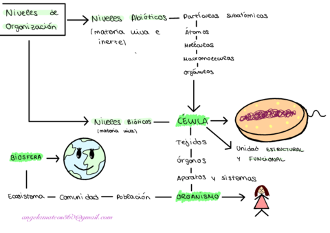 Tema-1-Agua-y-Sales-Minerales.pdf