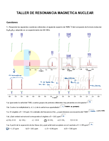 TALLER-rmn-2020-2021.pdf
