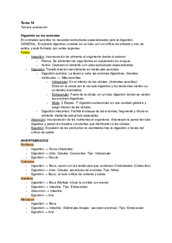 Tema-14.pdf