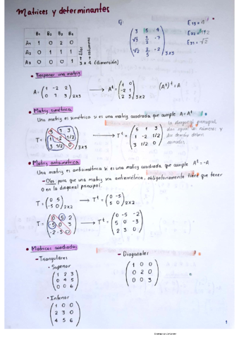 Matrices-y-determinantes.pdf
