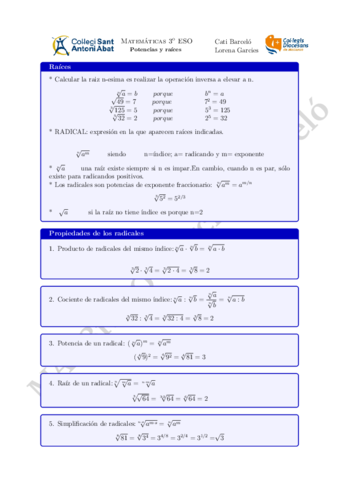 06-Raices.pdf