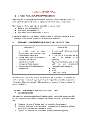 TEMA-1-EL-PROCES-PENAL.pdf
