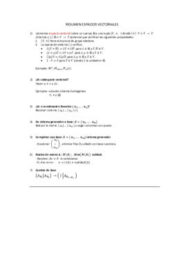 RESUMEN ESPACIOS VECTORIALES.pdf