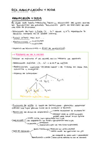 REMIFICACIONYPODA.pdf