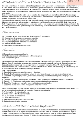Sociologia-tema-3.pdf