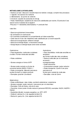Metabolismo-simplificado.pdf