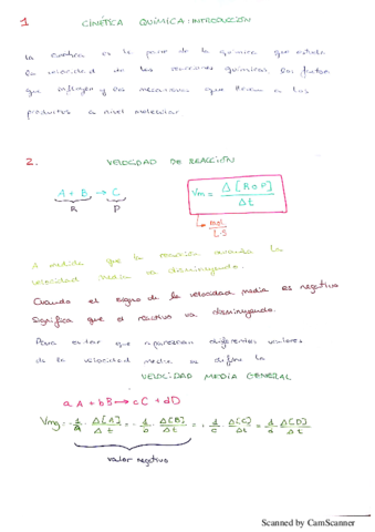 Apuntes cinética química.pdf