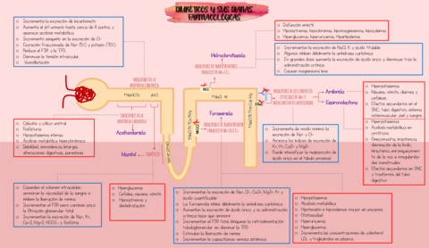 Duireticos-y-sus-dianas-farmacologicas.pdf