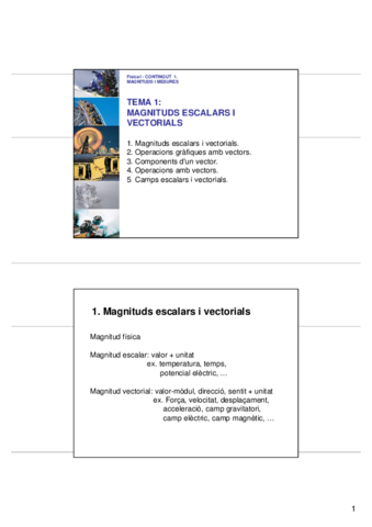teoria magnitudes escalares y vectoriales.pdf