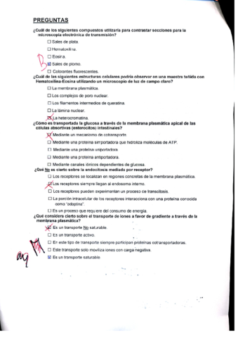 Examen final.pdf