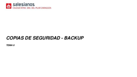 TEMA6COPIASSEGURIDAD.pdf