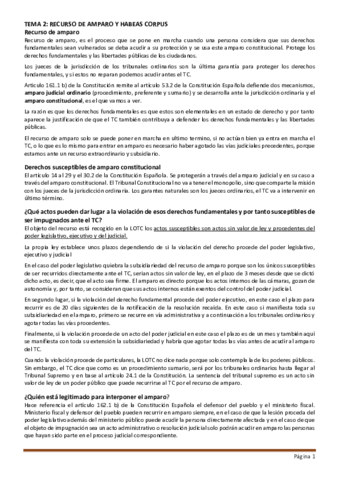 Recurso-de-amparo-y-habeas-corpus.pdf