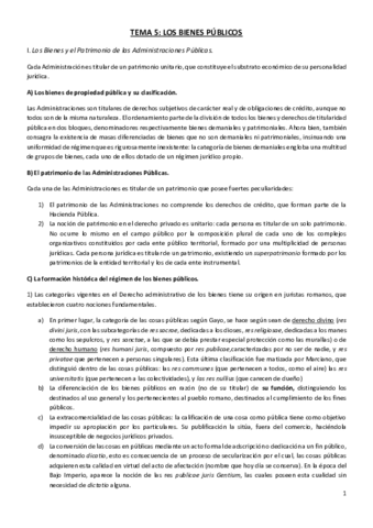 Tema-5-Los-Bienes-Publicos-Santamaria.pdf