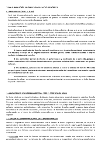 TODO-MERCANTIL.pdf